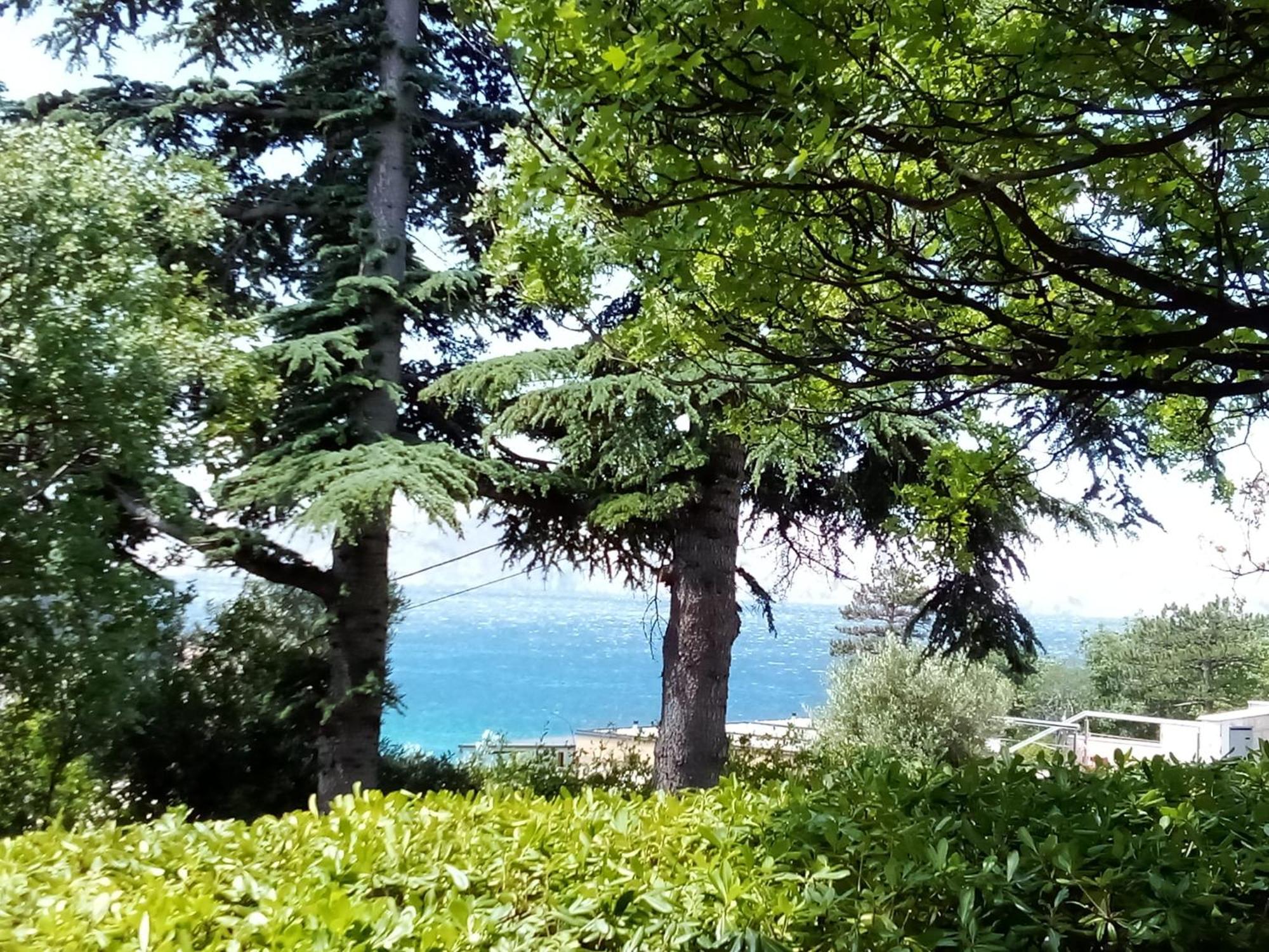 Villa Haus Niko Senj  Bilik gambar