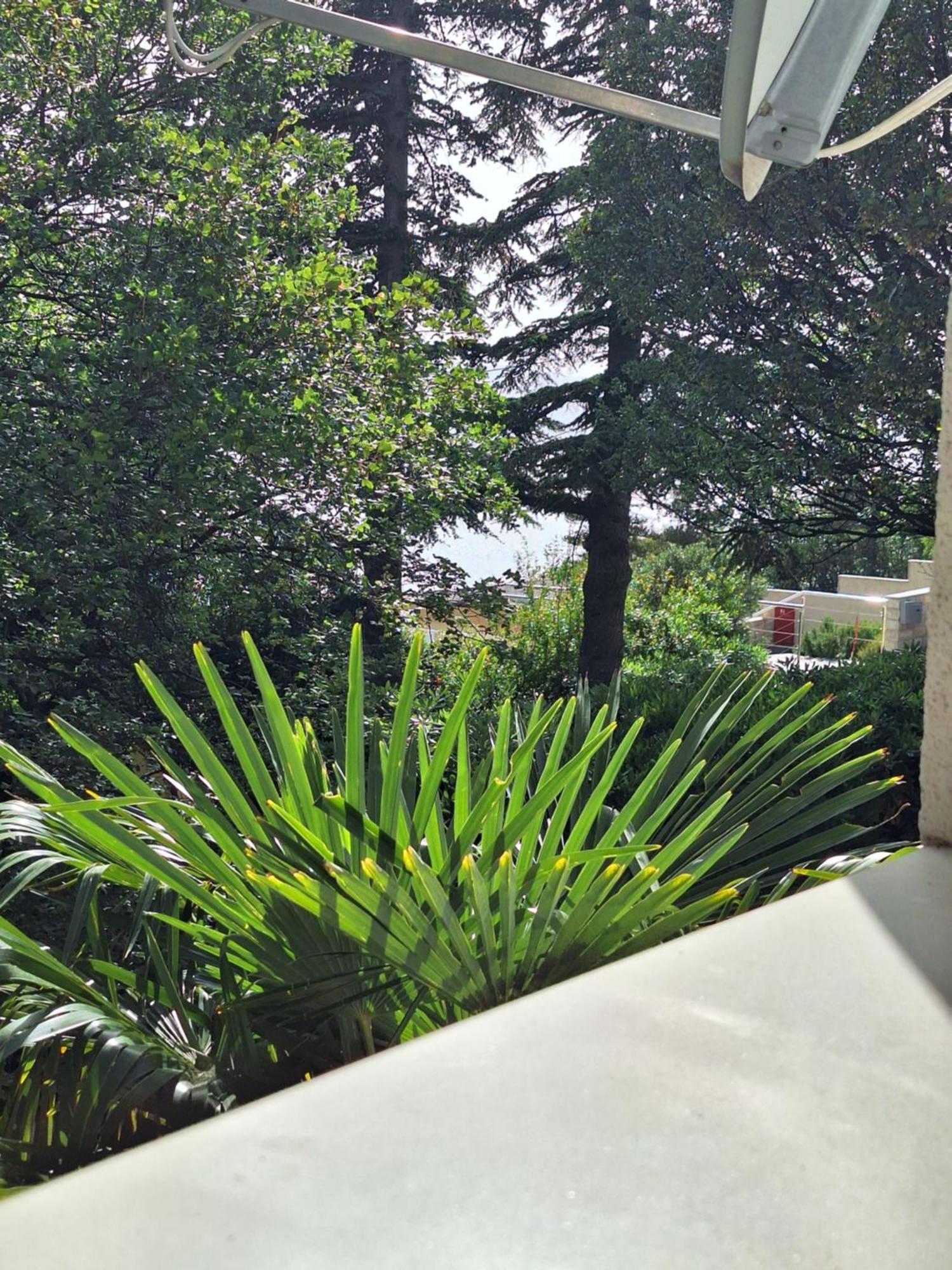 Villa Haus Niko Senj  Luaran gambar